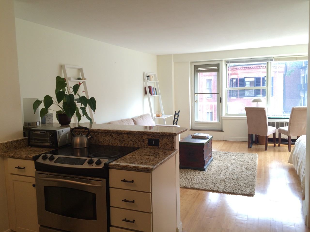 145 Pinckney Street #413