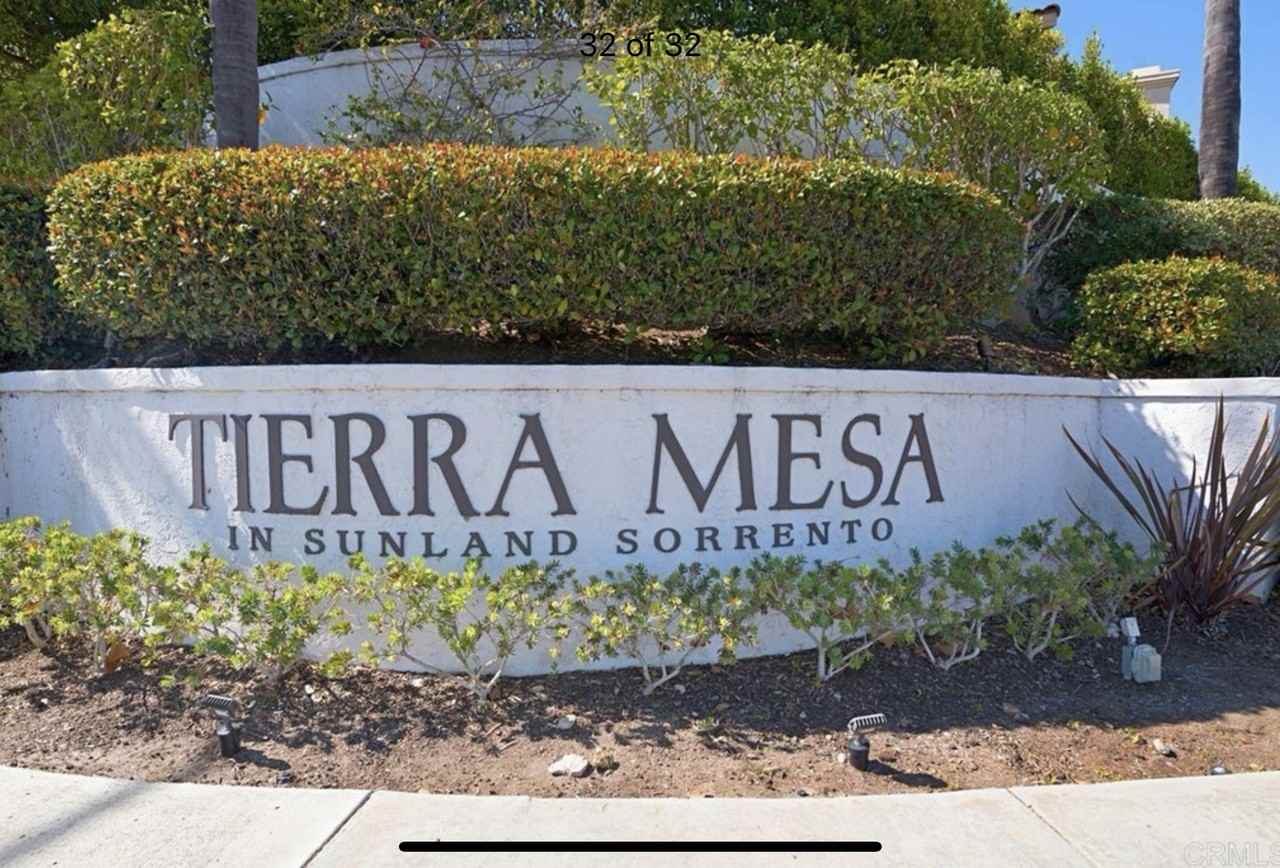 11189 Caminito Rodar - Photo 3 of 17