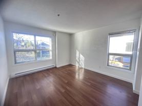 250 Selby Street #301 - Photo 1 of 1