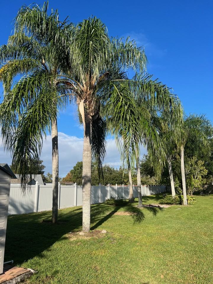 664 Wyckliffe Pl #1 - Photo 7 of 39