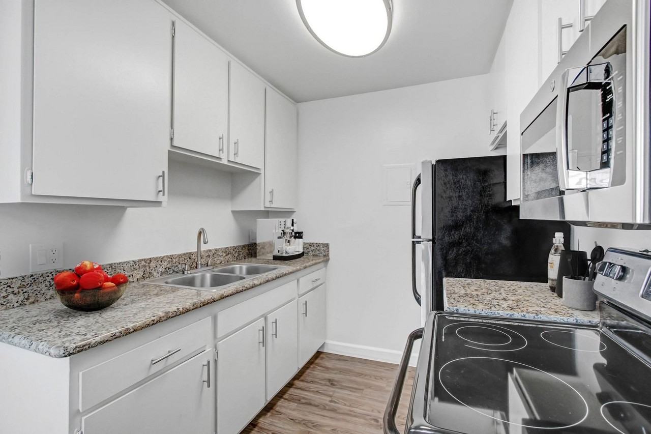 Mon Leon - Photo 2 of 57