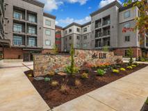 The Lux - Photo 1 of 1