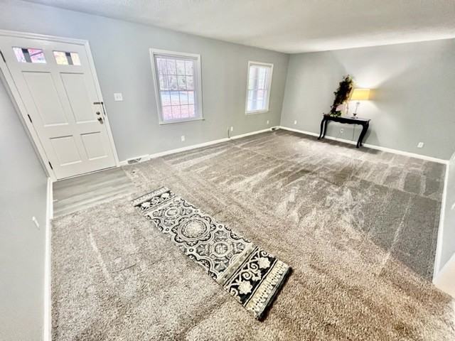 5624 Spring Lake Dr #1 - Photo 2 of 11