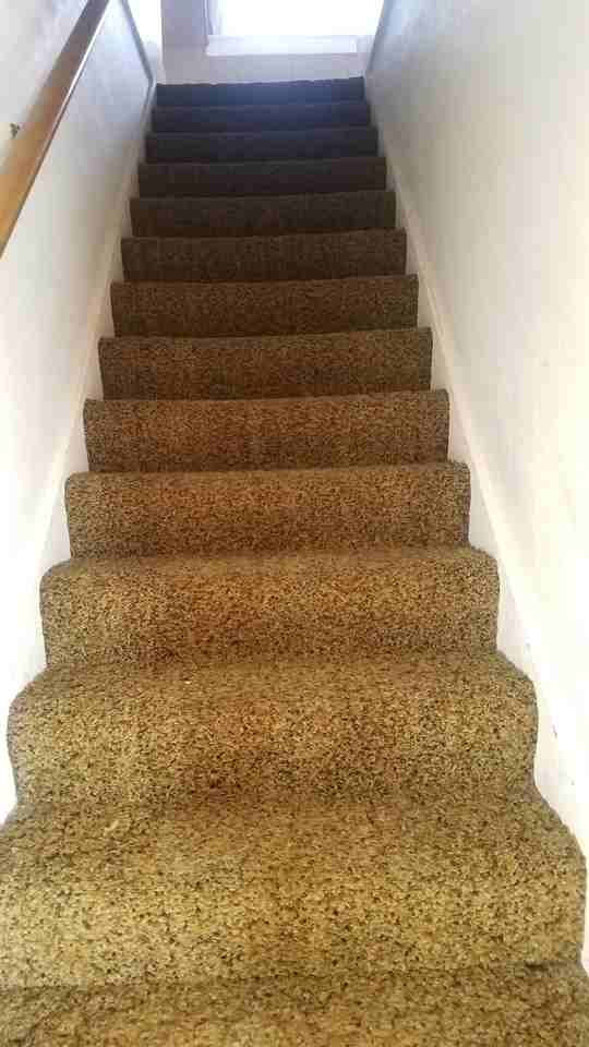 106 E 9th Ave #1 - Photo 5 of 43