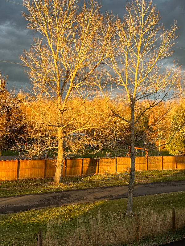 1542 Cobb Hill Road - Photo 6 of 30