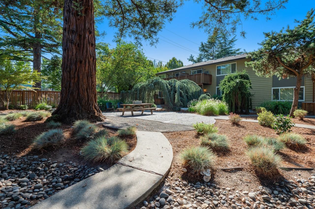 Park At Allen Apartments - Photo 3 of 36