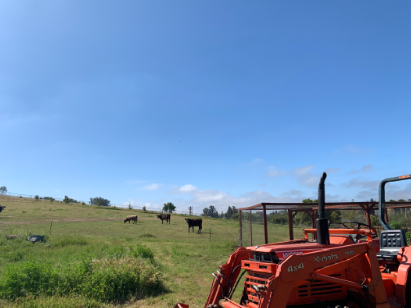 3200 Olive Hill Rd - Photo 2 of 18