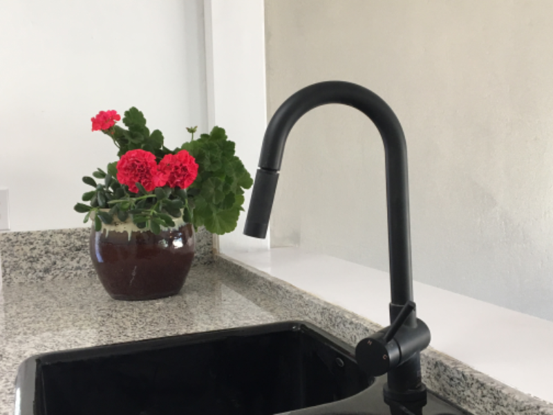 3200 Olive Hill Rd - Photo 3 of 18