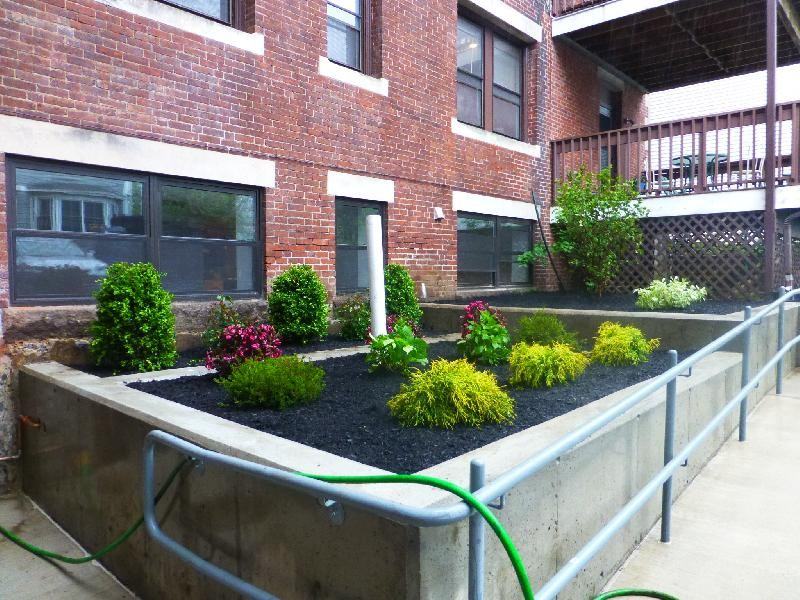 457 Centre St #107 - Photo 2 of 9