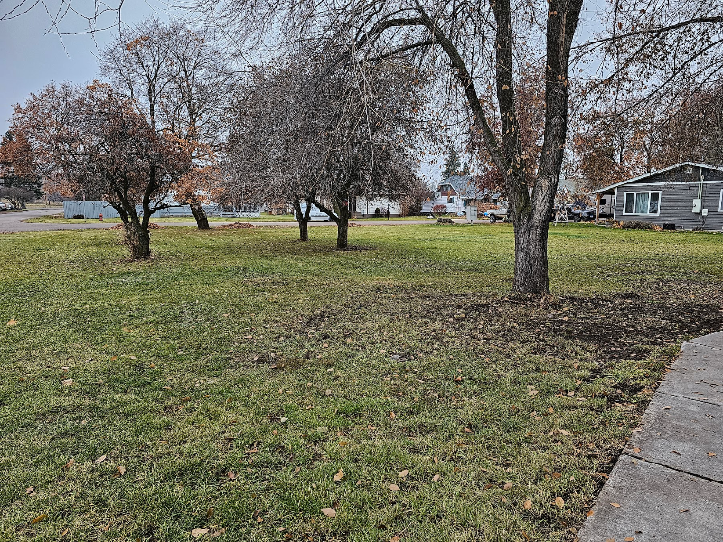 711 6th Ave E, Polson, MT 59860 2 bedroom House Rental Zumper