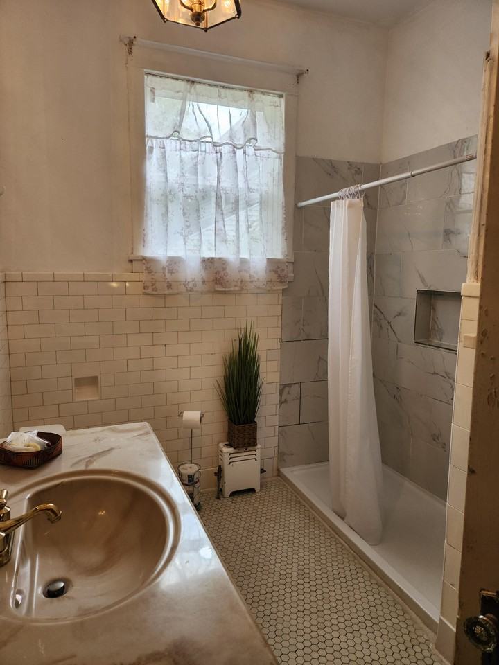 Delphine St - Photo 3 of 18