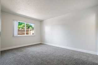 3777 Mowry Ave - Photo 1 of 1
