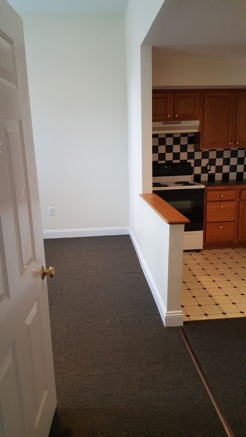 507 Pine Street #1 - Photo 2 of 15