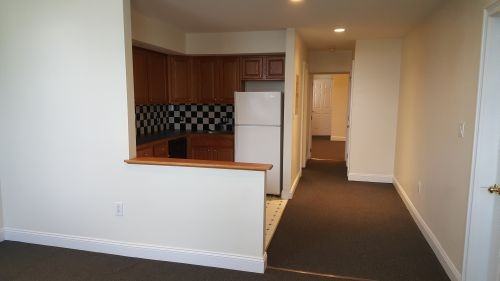 507 Pine Street #1 - Photo 6 of 15