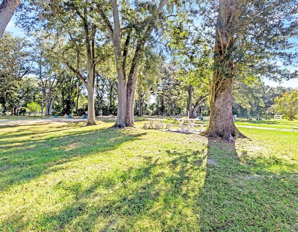 10791 Sw 30th Ave - Photo 5 of 15