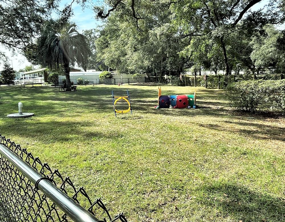 10791 Sw 30th Ave - Photo 7 of 15