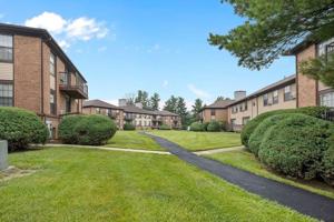 featured image of 101 Blue Spring Rd