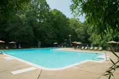 Crystal Woods - Photo 1 of 1