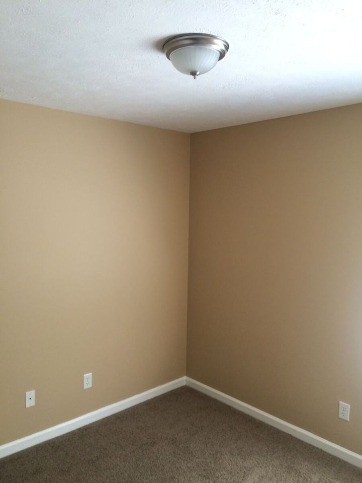 1309 E Nir Shreibman - Photo 3 of 15