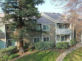 featured image of 2800 Willow Ave