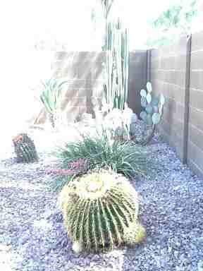 3793 S Chaparral Rd - Photo 2 of 55