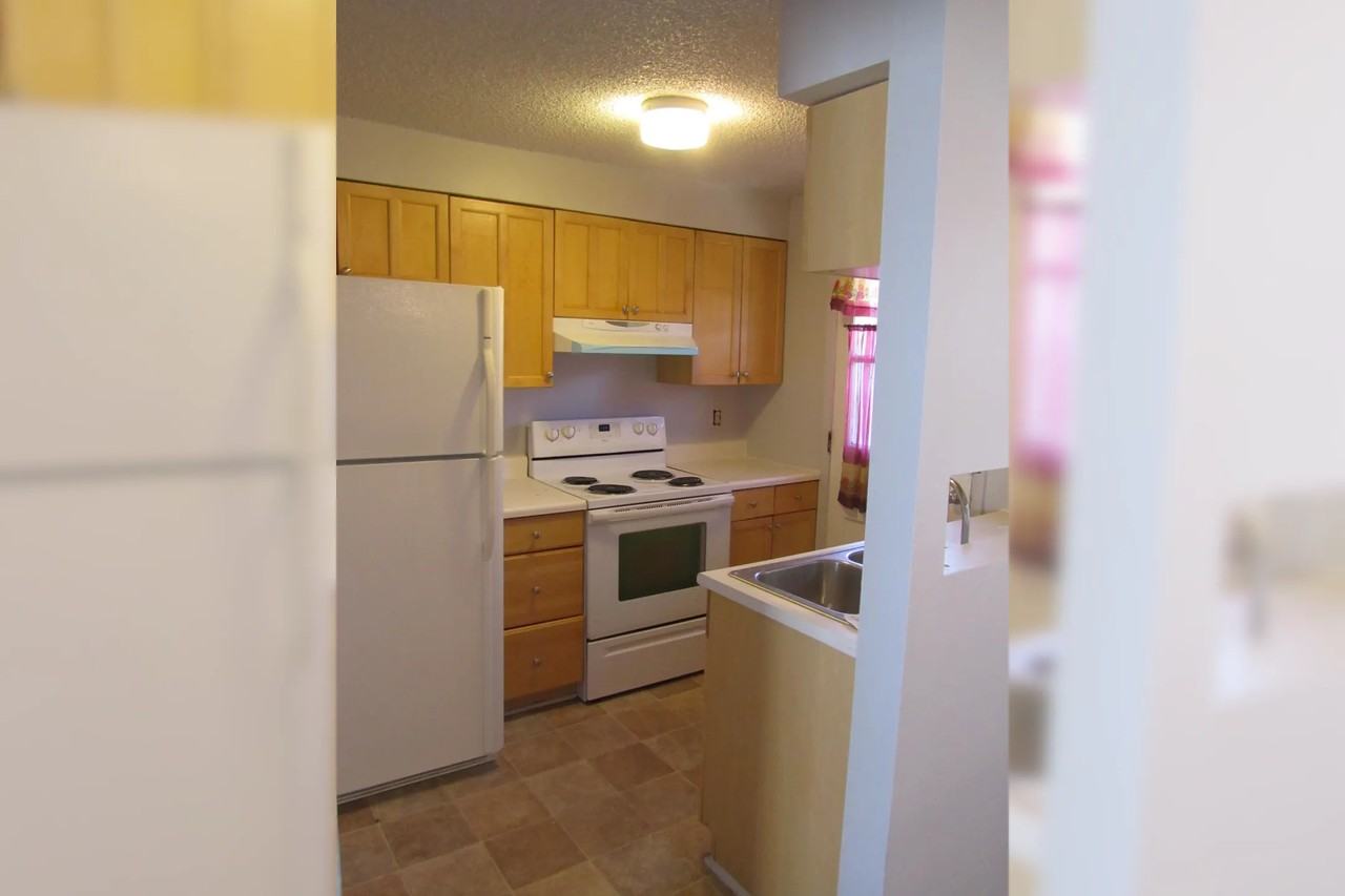 1291 Idalia Ct - Photo 3 of 19