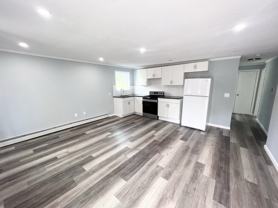 SWAN LAKE COMPLEX - Photo 1 of 1