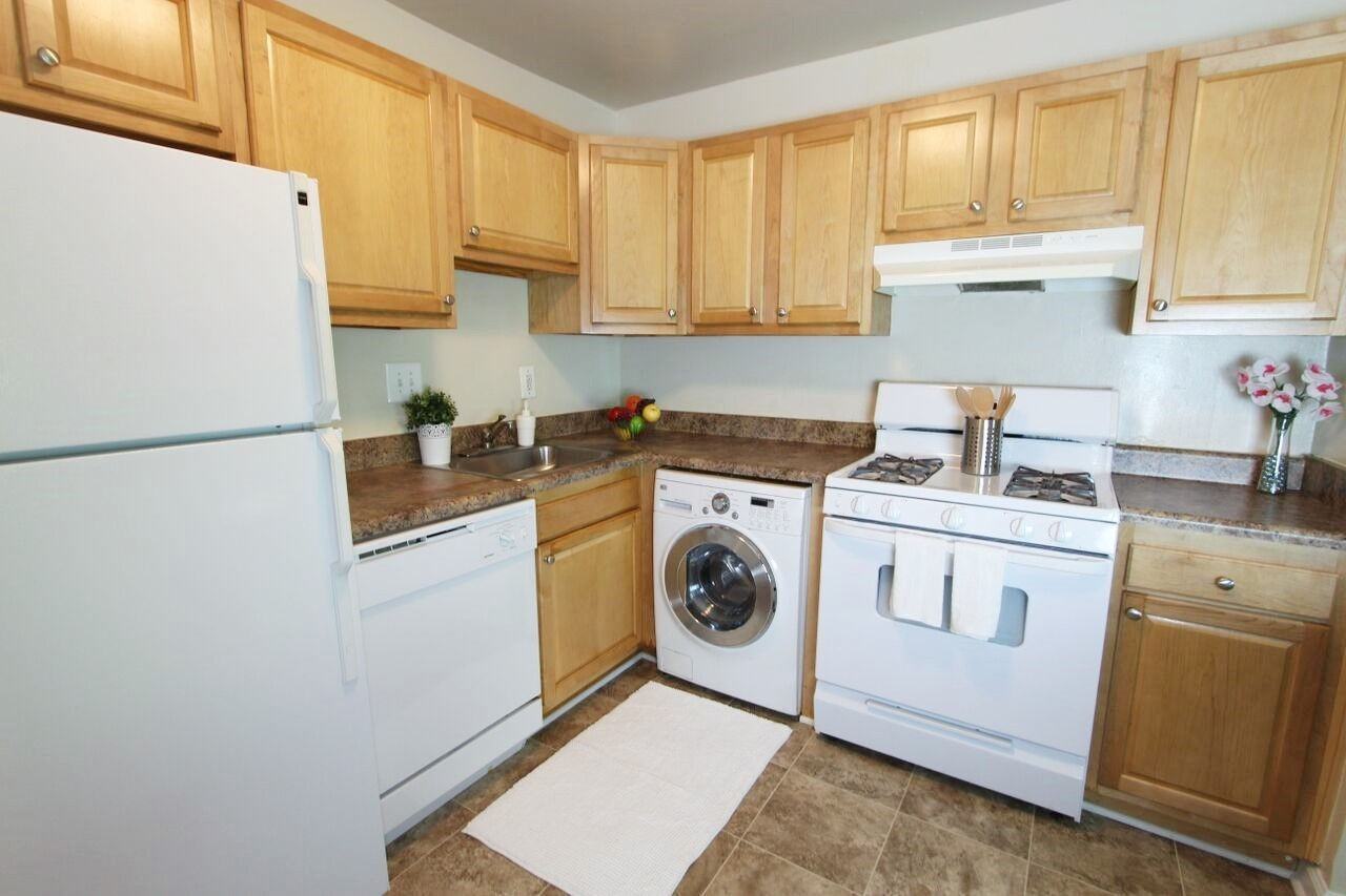 Camden Hills - Photo 4 of 5