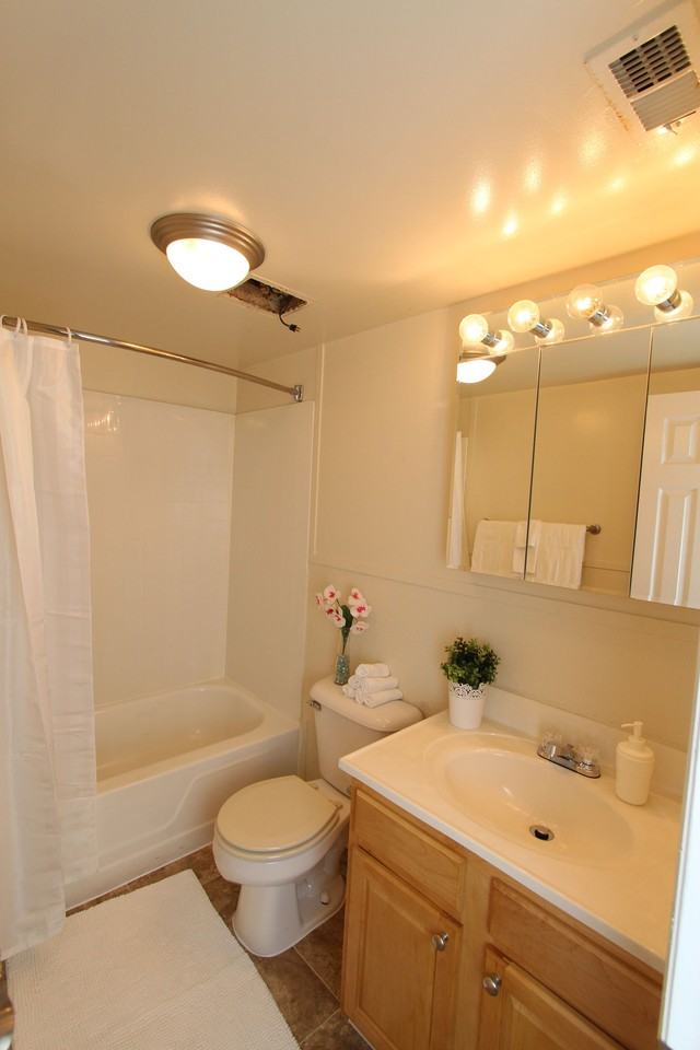 Camden Hills - Photo 5 of 5