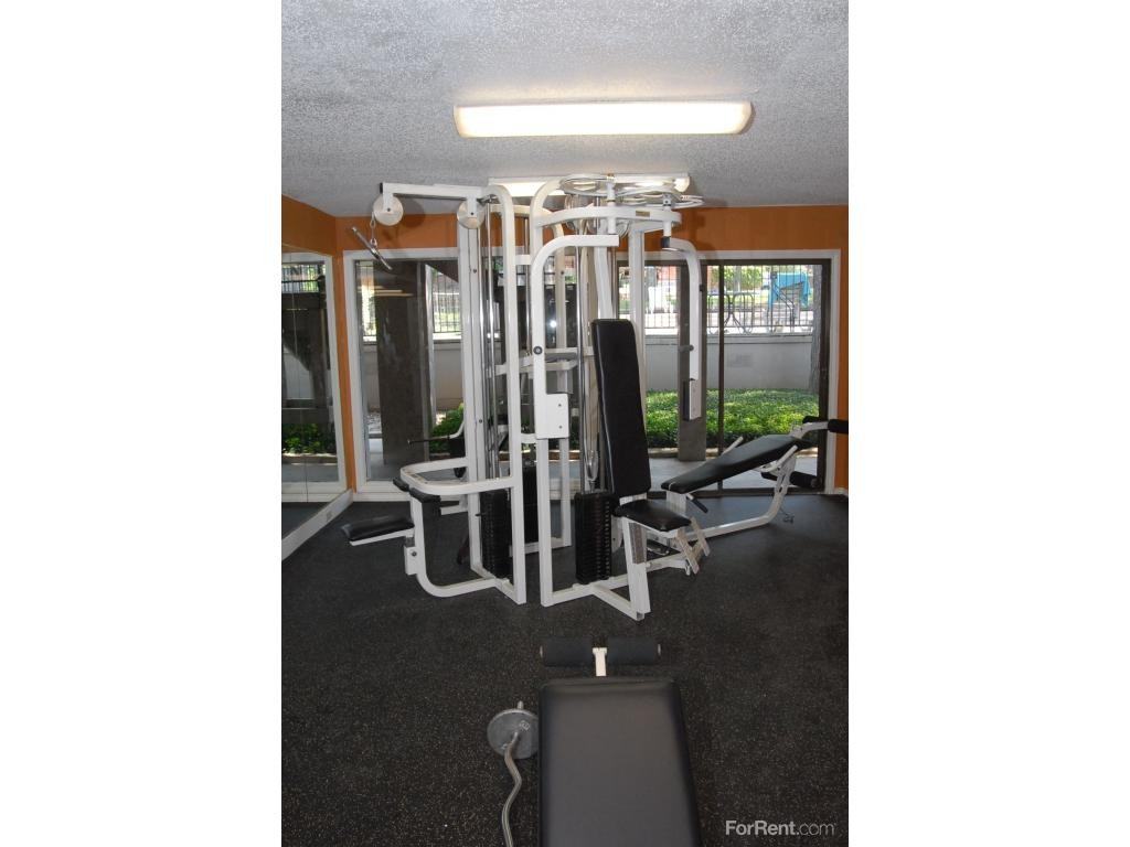 The Creek - Photo 3 of 19