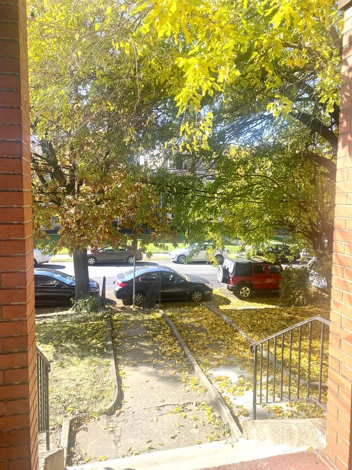 323 Mckee Pl #NA - Photo 2 of 13