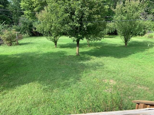 2409 Fleetwood Dr #1 - Photo 3 of 10