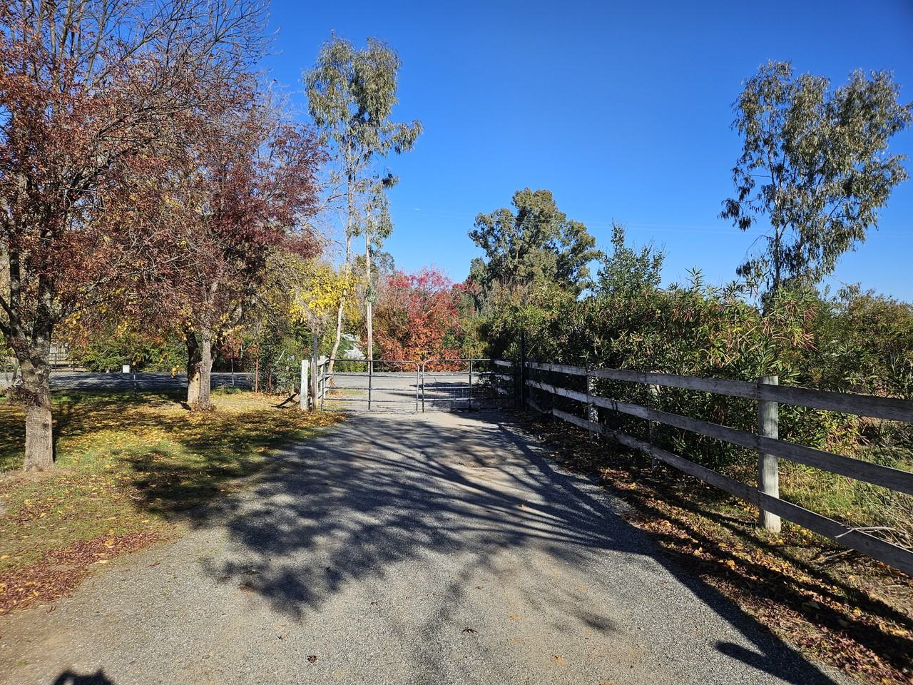 22509 Finnell Ave #NA - Photo 2 of 19