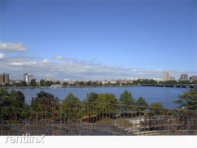 43 Bay State Rd - Photo 3 of 5