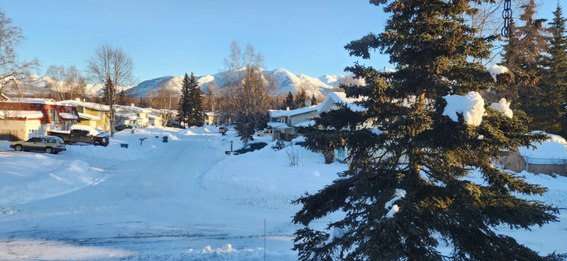 2200 Paxson Dr #1 - Photo 2 of 13