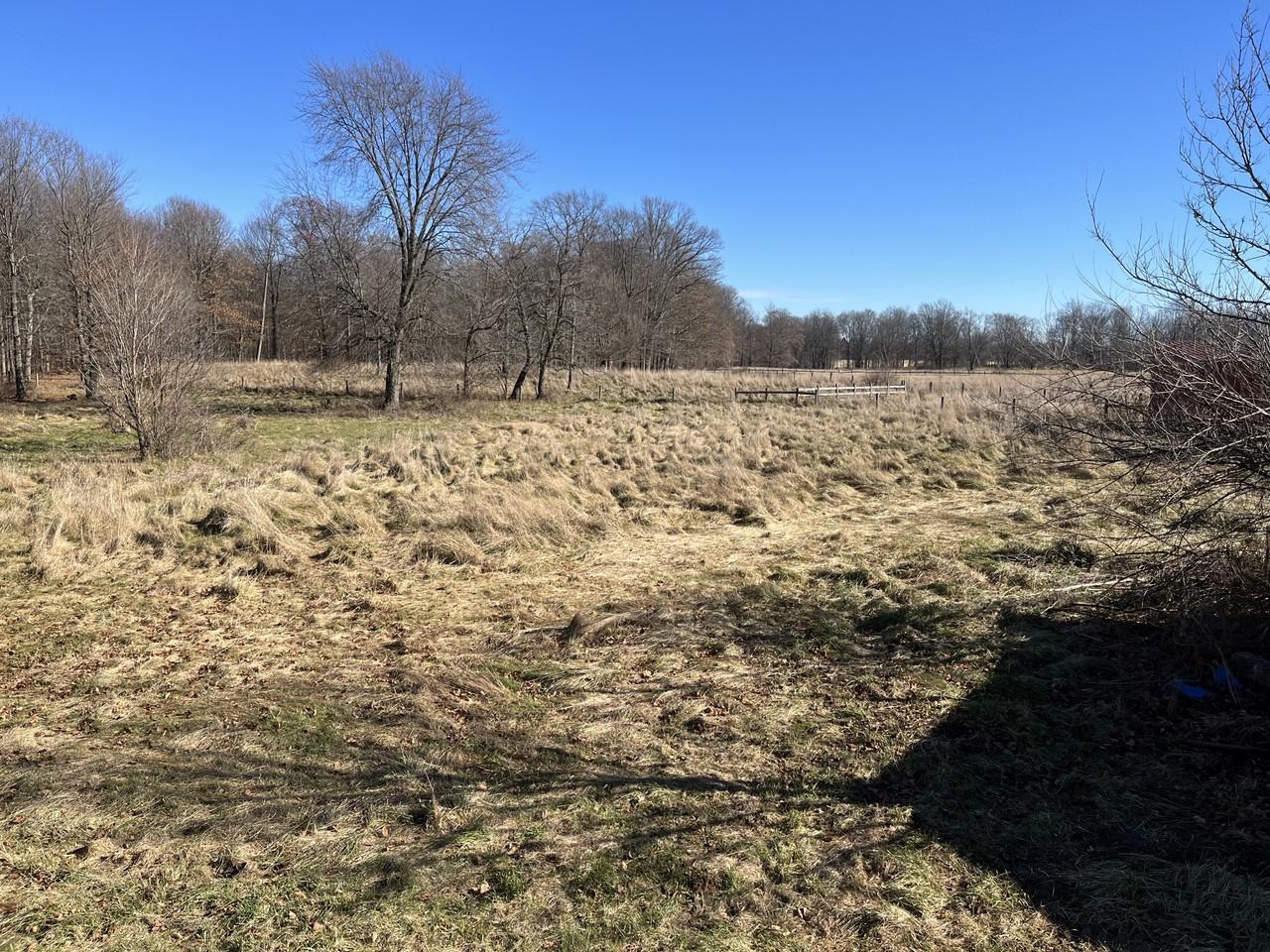 1169 Township Road 198 #NA - Photo 3 of 20