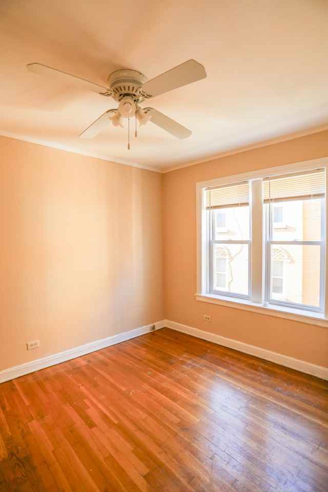 5929 N Northwest Hwy #3A - Photo 7 of 9