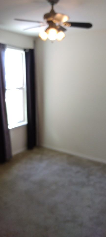 176 Housefinch Loop - Photo 5 of 13