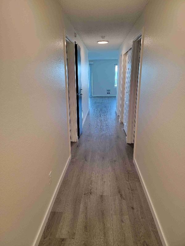 2415 Grand Ave #2 - Photo 2 of 10