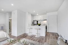 Blue North - Photo 1 of 1