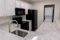 4418 Goldflower Loop Apt 2f2 #2F2 - Photo 4 of 14