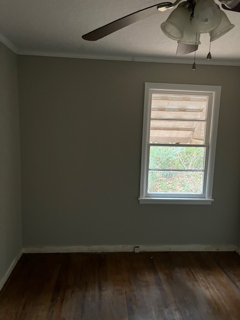 1115 Luttrell St - Photo 3 of 11