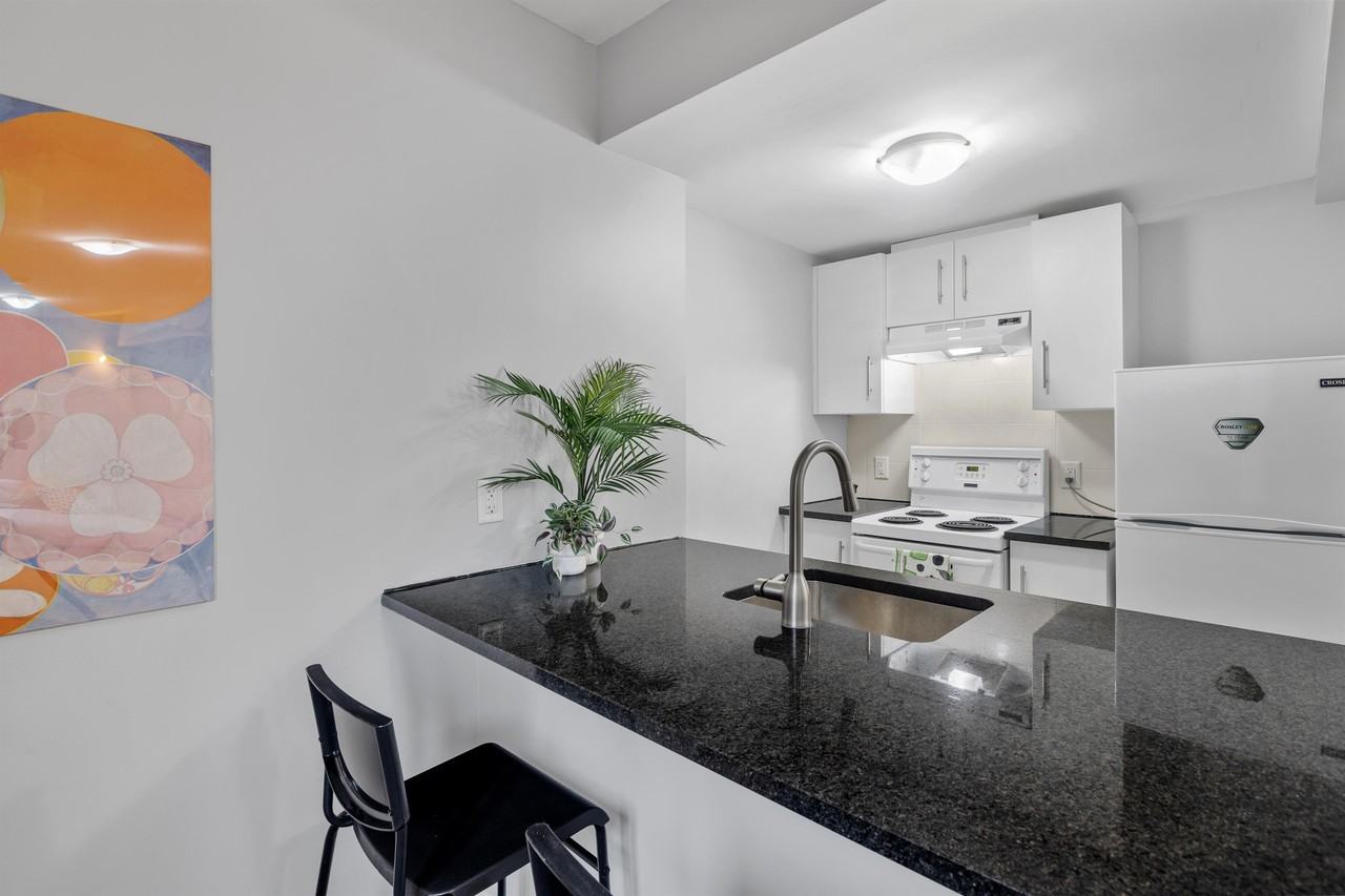 486 Albert St #205 - Photo 7 of 18