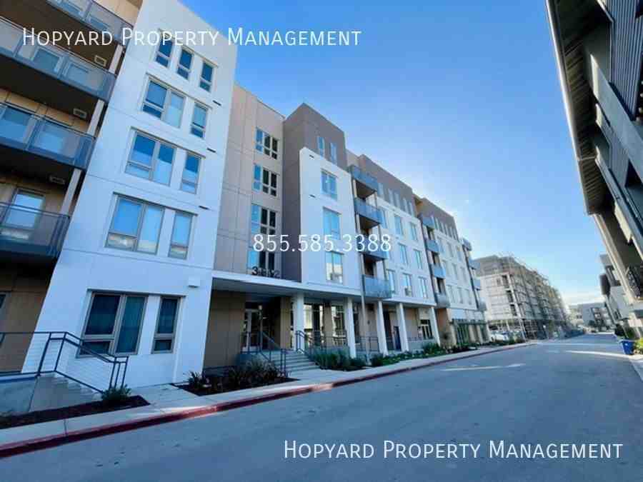 3512 Vision Cmn #404