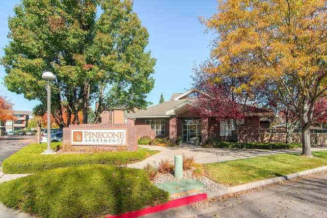 Pinecone Apartments - Photo 2 of 50