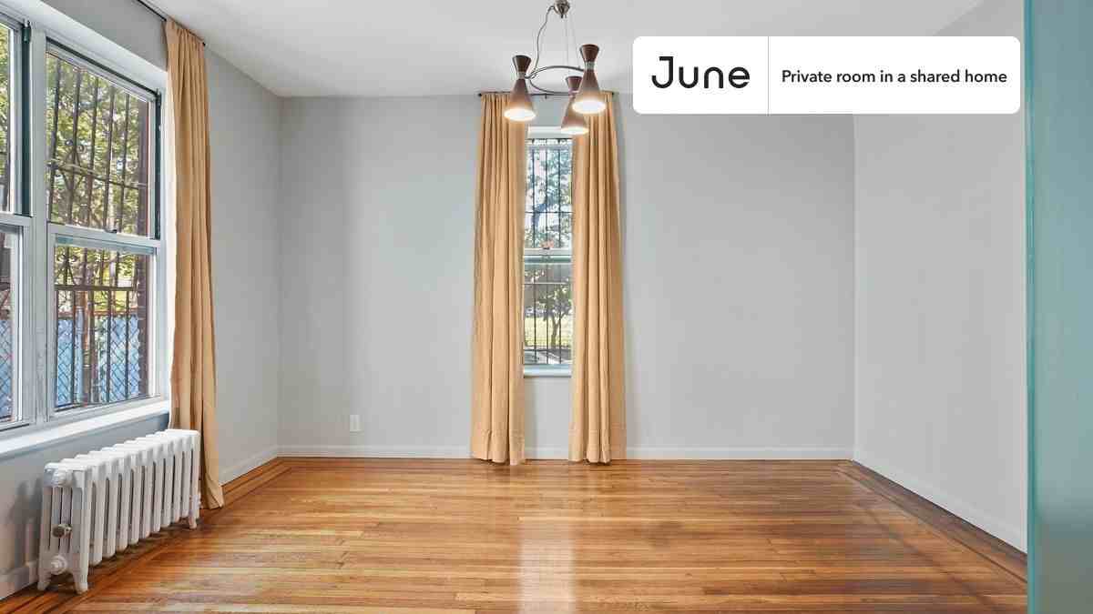 81 Olive St #B - Photo 5 of 14