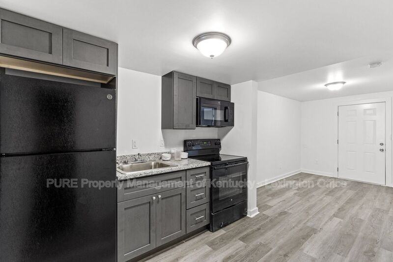 725 E College St - Photo 3 of 17