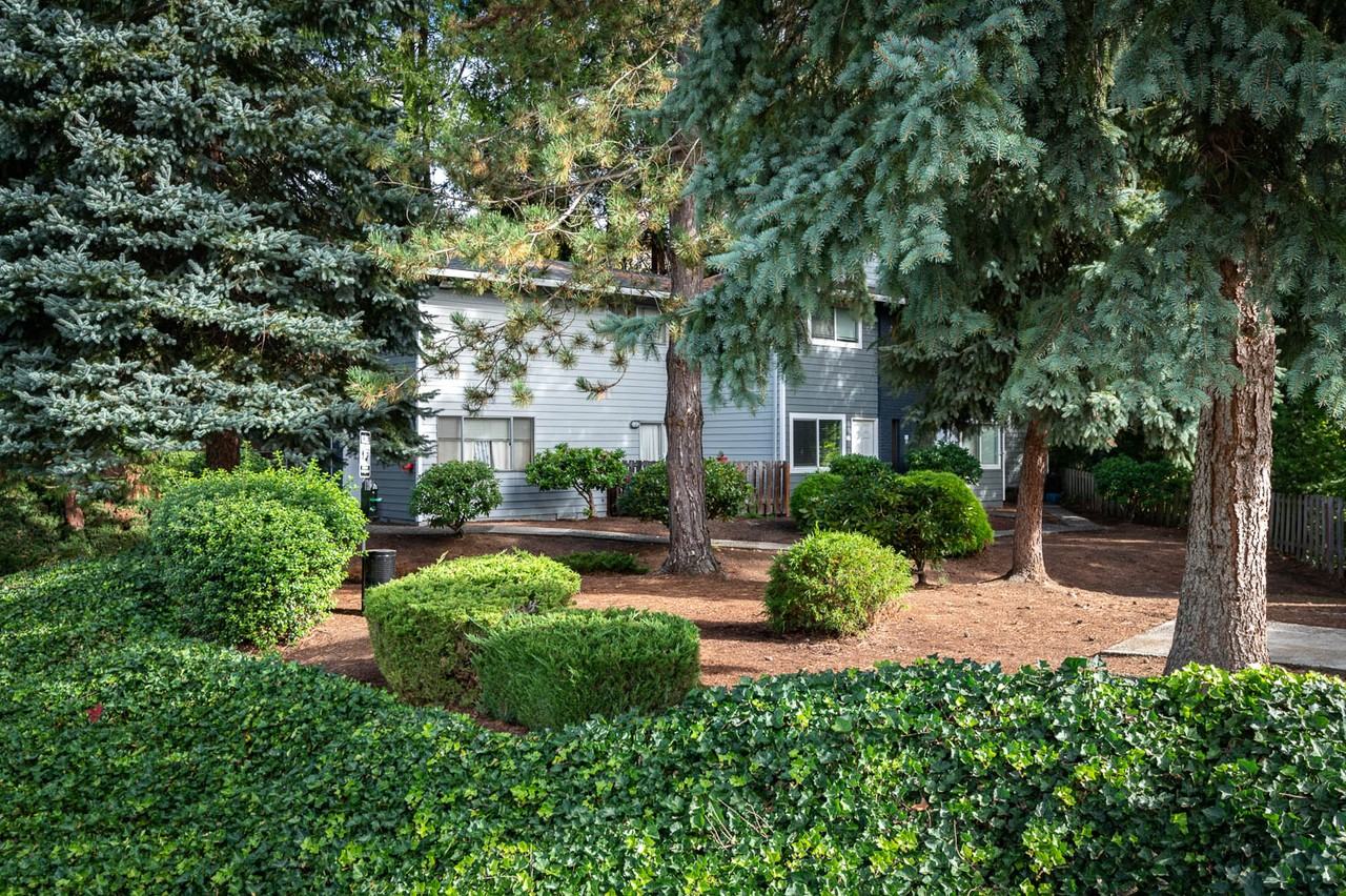 The Hideaway - Photo 2 of 20