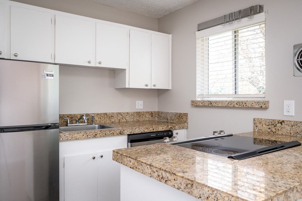 Ivy Terrace - Photo 6 of 24