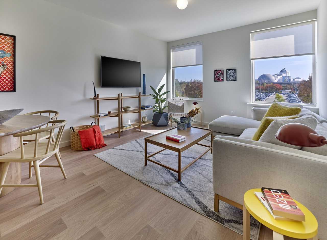 Starling - Photo 6 of 20